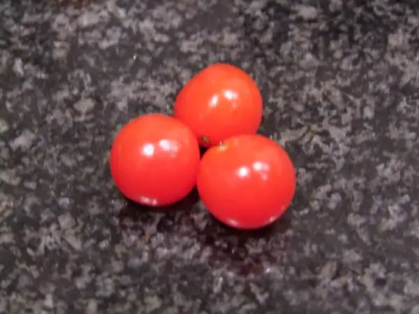 Tomaten: Johannisbeertomate - Wildtomate