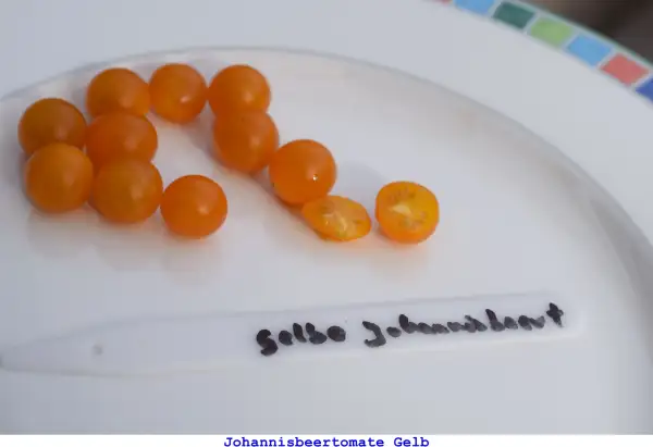 Tomaten: Johannisbeertomate gelb