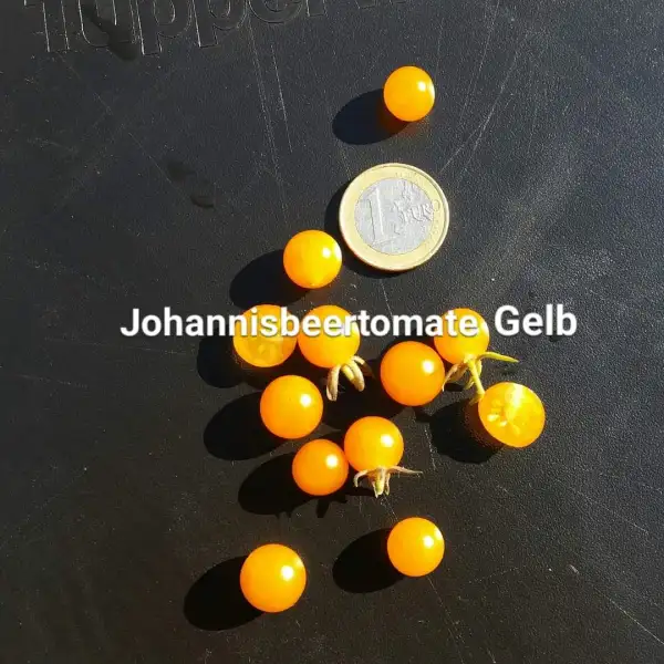 Tomaten: Johannisbeertomate gelb