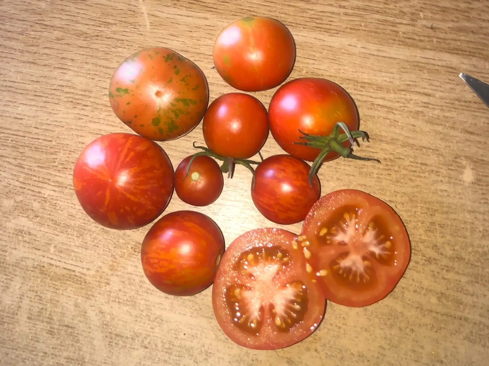 Tomaten: Joie de Vivre