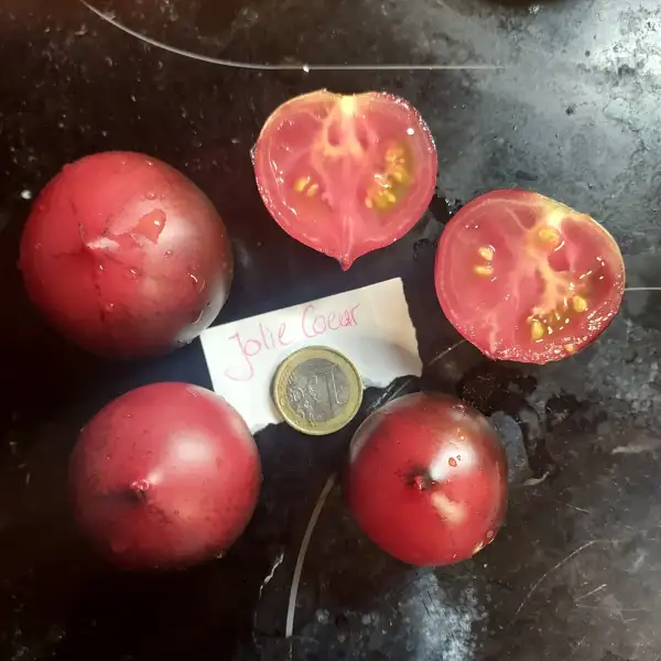 Tomaten: Jolie Coeur