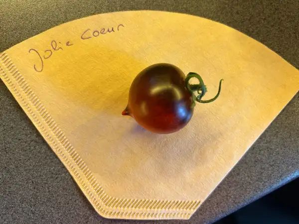 Tomaten: Jolie Coeur