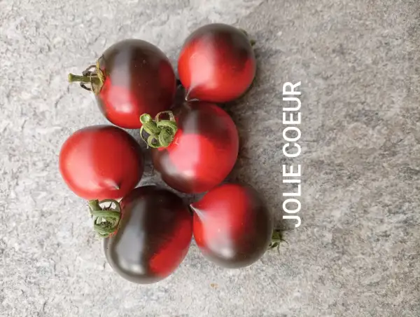 Tomaten: Jolie Coeur