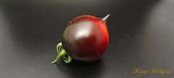 Tomaten: Jolie Coeur