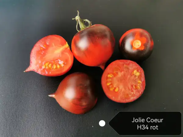 Tomaten: Jolie Coeur (H34 rot)