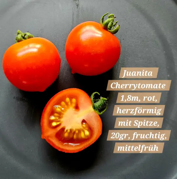 Tomaten: Juanita