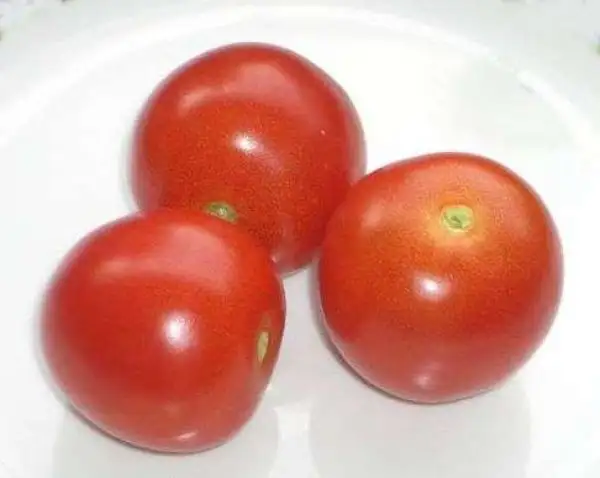 Tomaten: Julirot