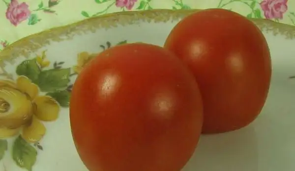 Tomaten: Jutta