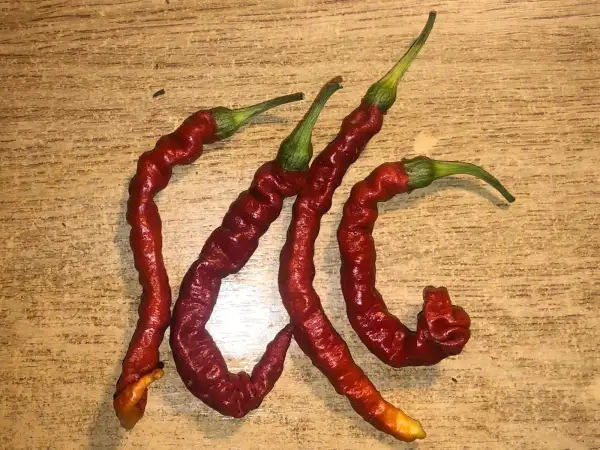 Chili / Paprika: Jwala