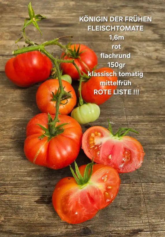 Tomaten: Königin Der Frühen