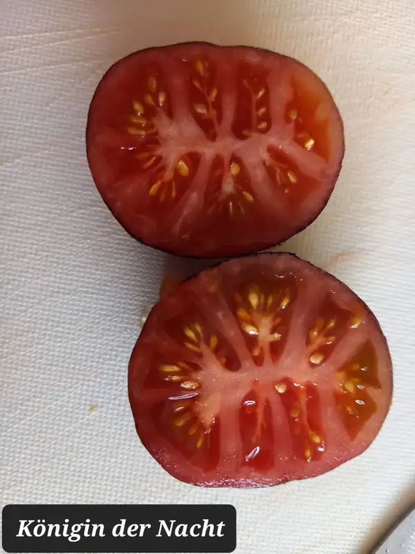 Tomaten: Königin der Nacht 2023