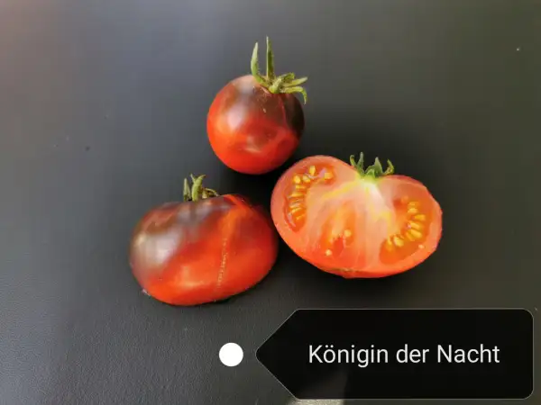 Tomaten: Königin der Nacht