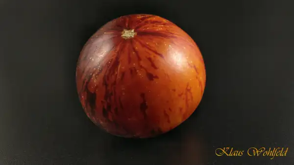 Tomaten: Königin der Nacht