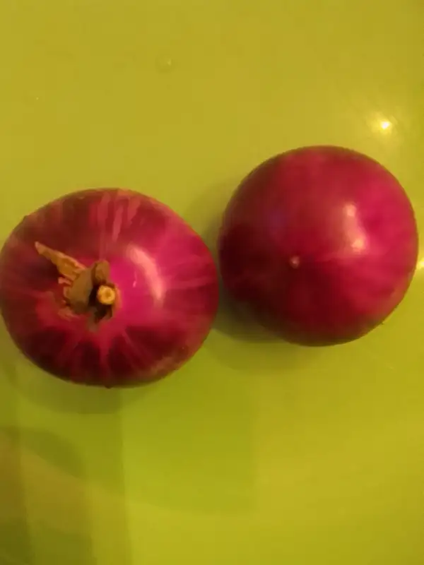 Tomaten: Königin der Nacht