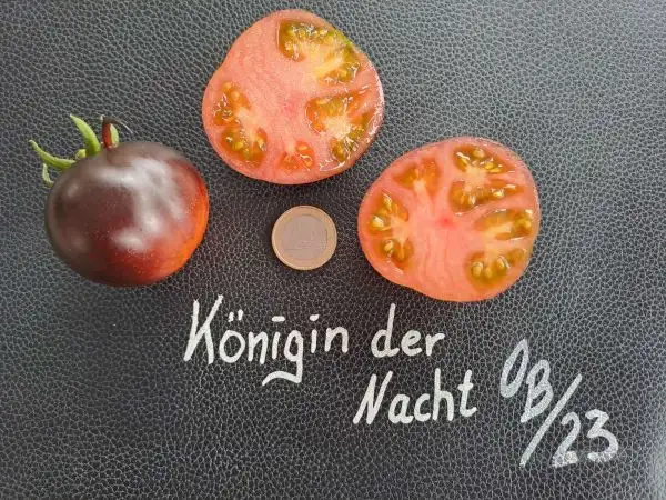 Tomaten: Königin der Nacht