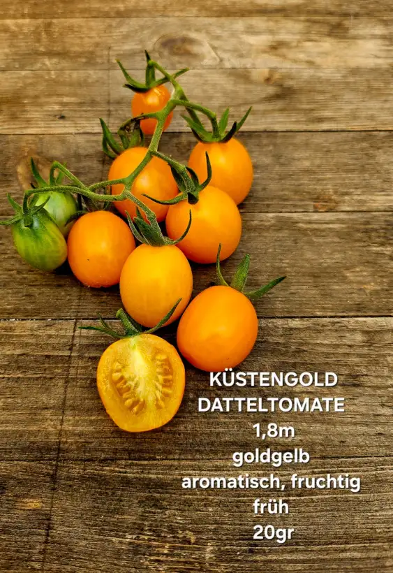 Tomaten: Küstengold