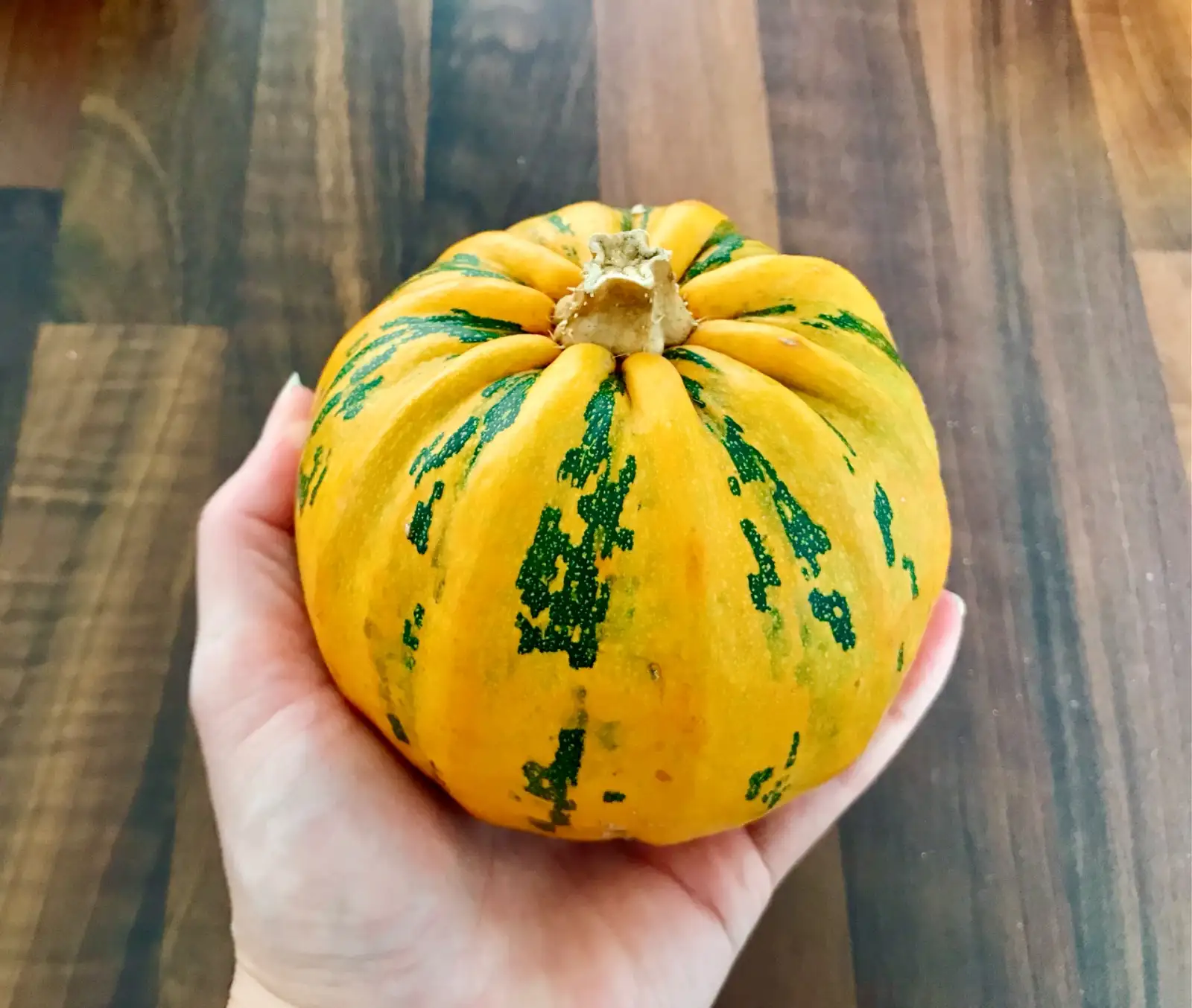 Kürbisse: Kamo-Kamo