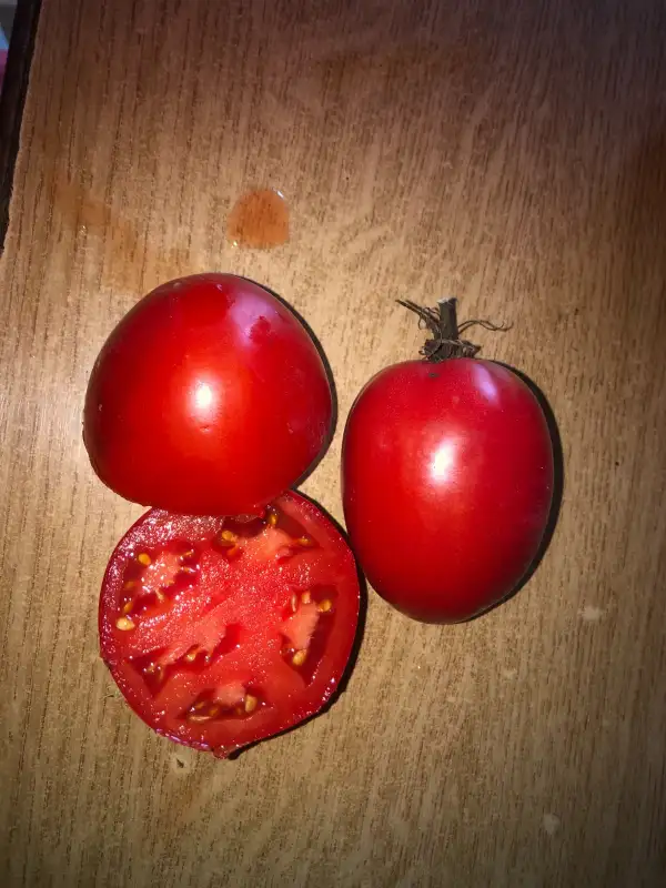 Tomaten: Kanauss Oxheart