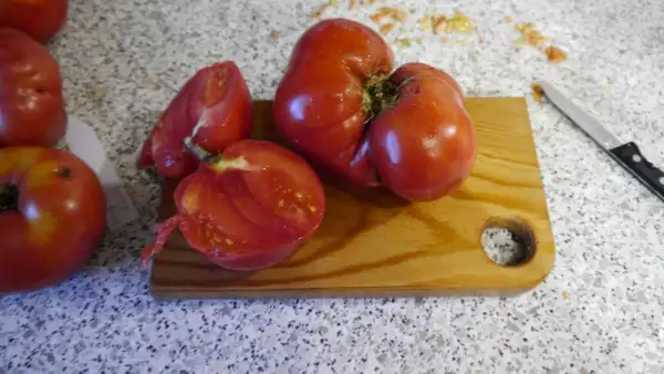Tomaten: Kangaroos Heart