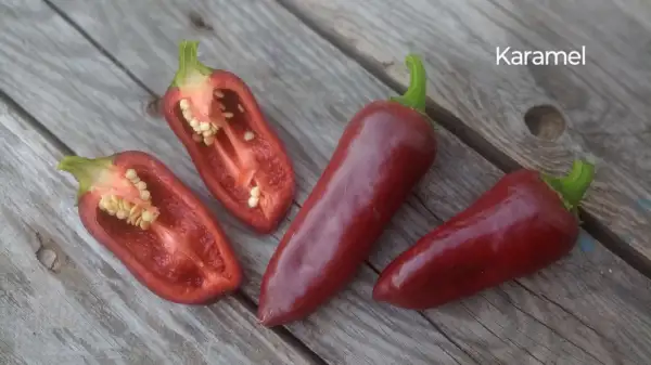 Chili / Paprika: Karamel