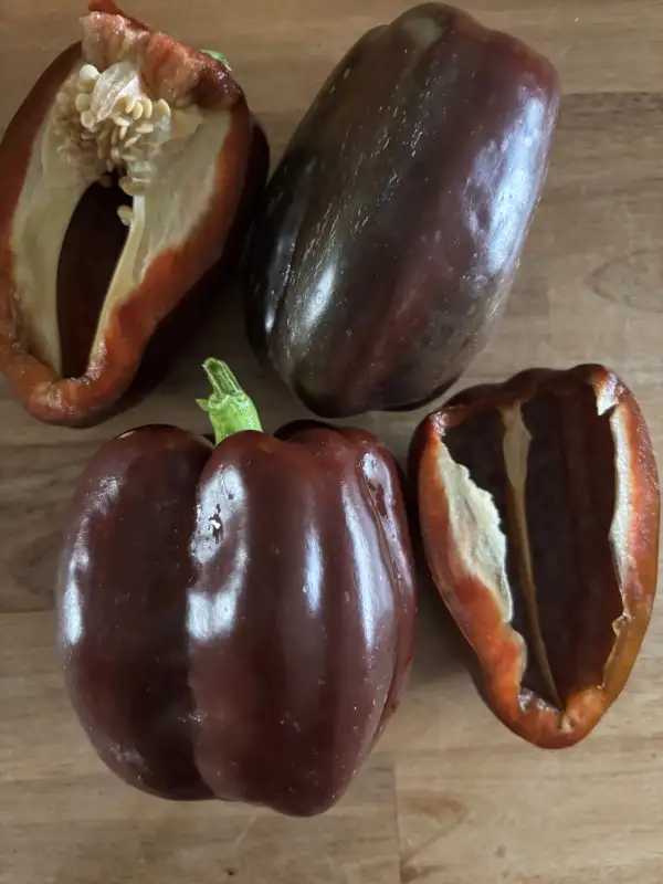 Chili / Paprika: Karamell
