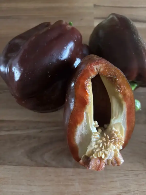 Chili / Paprika: Karamell