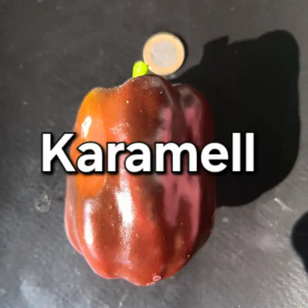 Chili / Paprika: Karamell