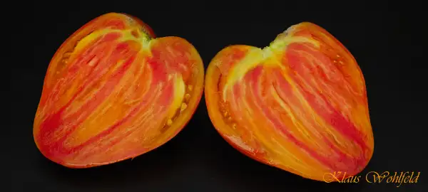 Tomaten: Kardinal auf Stroh