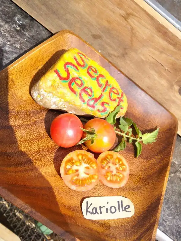 Tomaten: Kariolle