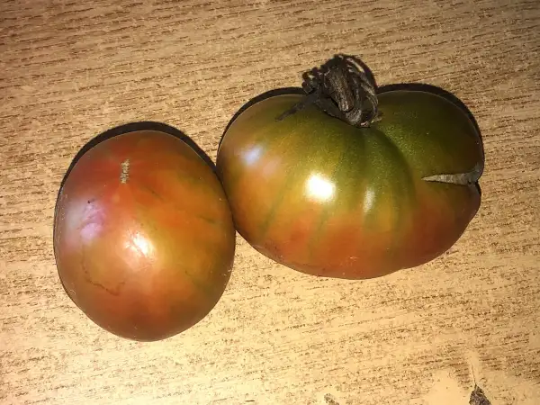 Tomaten: Karma Miracle