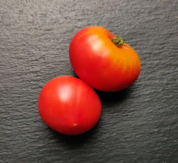 Tomaten: Karma Peach