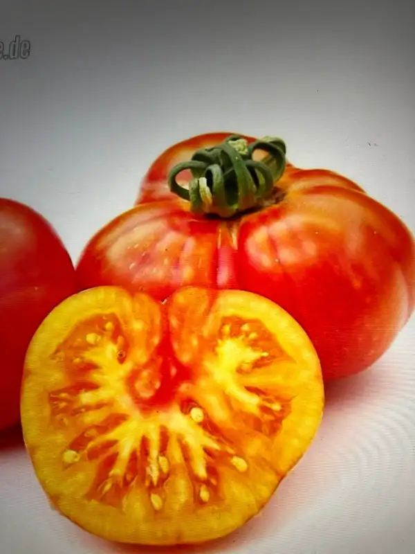 Tomaten: Karma Peach