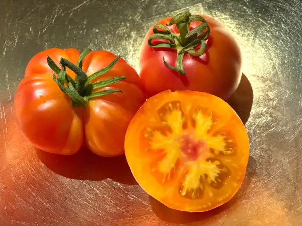 Tomaten: Karma Peach