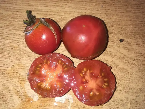 Tomaten: Karma Pink