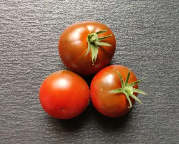 Tomaten: Karma Purple Multiflora