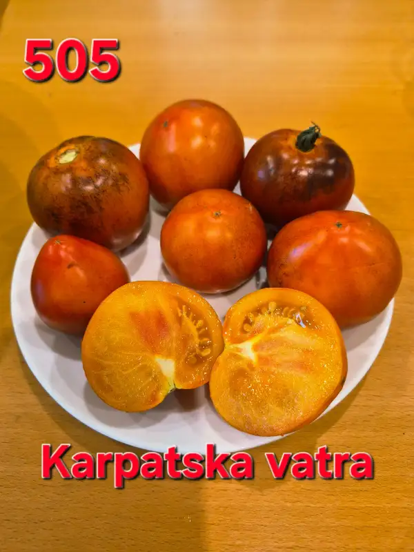 Tomaten: Karpatska vatra
