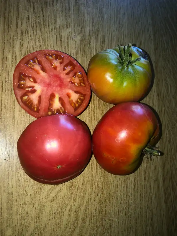 Tomaten: Kartofelny Malinovyi