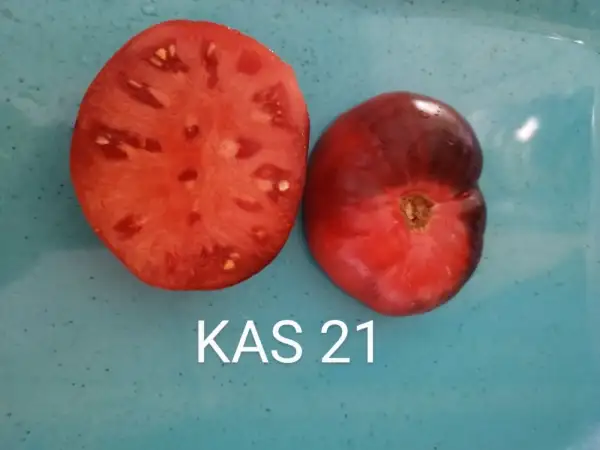 Tomaten: KAS 21,