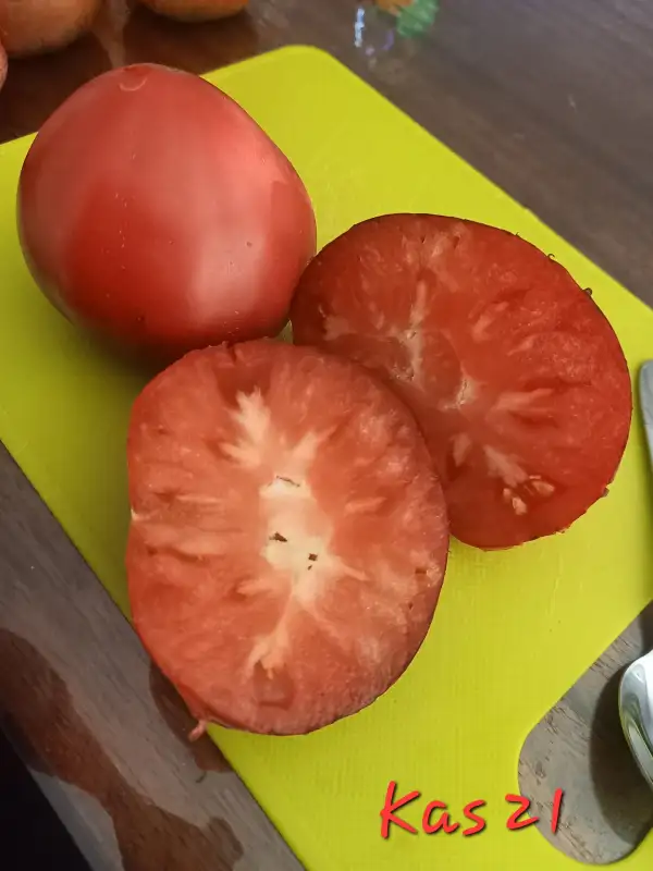 Tomaten: KAS 21