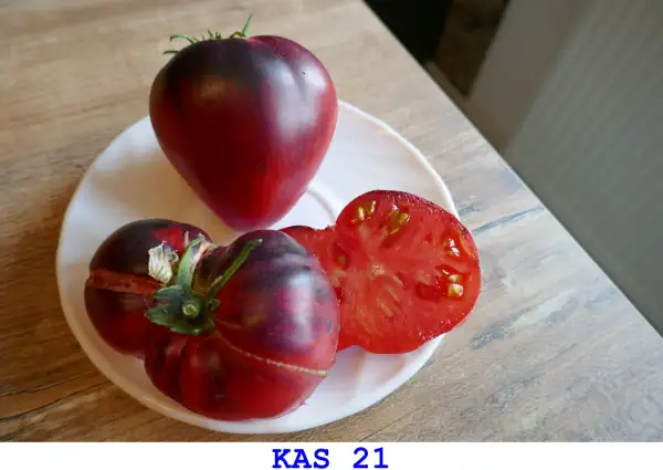Tomaten: KAS 21