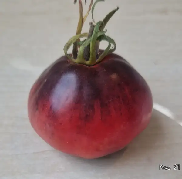 Tomaten: KAS 21