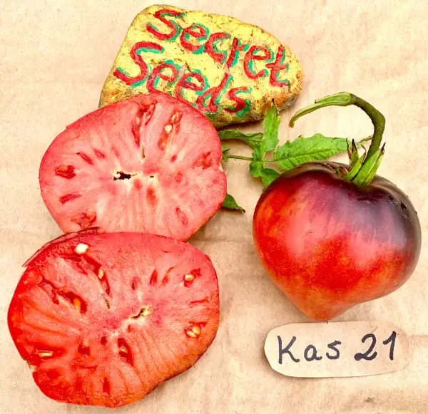 Tomaten: Kas21