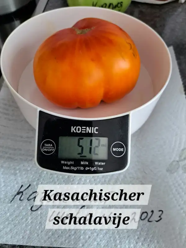 Tomaten: Kasachischer schalavije