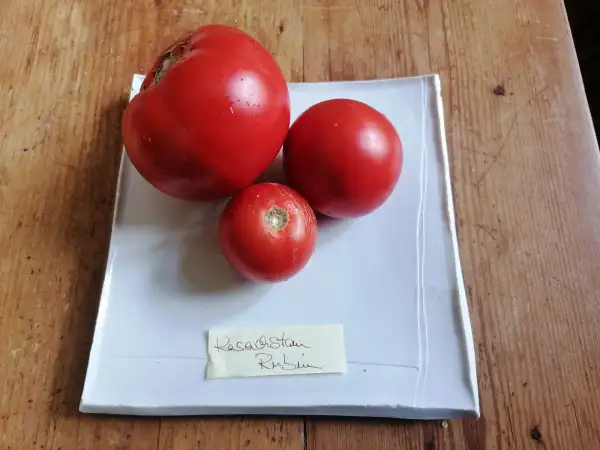 Tomaten: Kasachstan Rubin