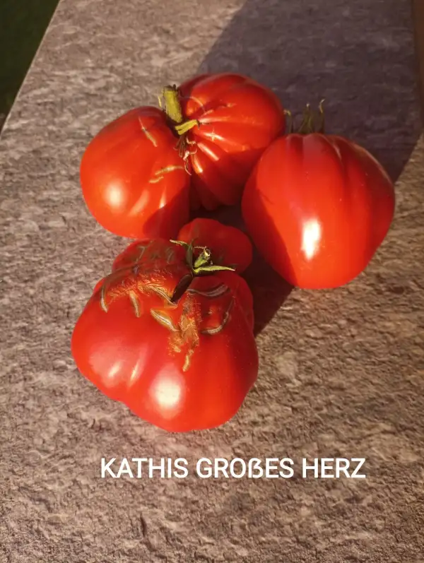 Tomaten: Kathis großes Herz