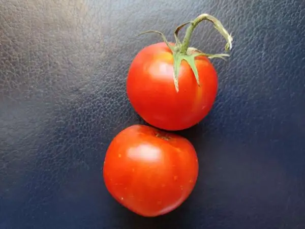 Tomaten: Katrina