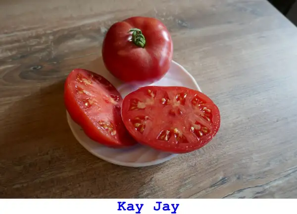 Tomaten: Kay Jay