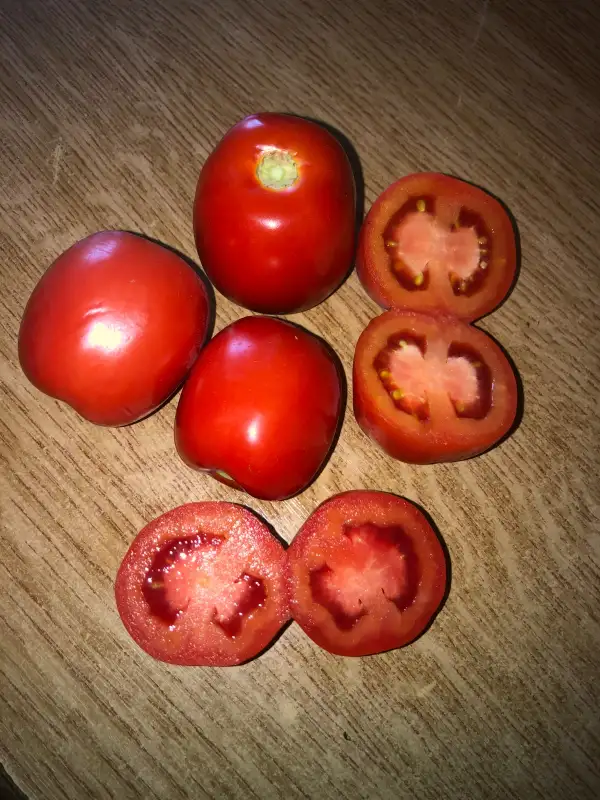 Tomaten: Kecskemeti Zömök