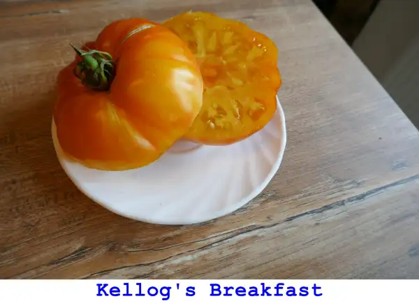 Tomaten: Kellog’s Breakfast