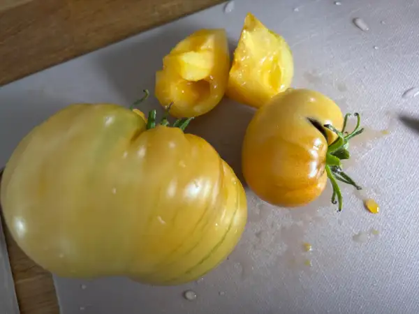 Tomaten: Kellog‘s Breakfast